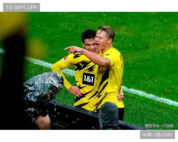 多特蒙德1-2遭霍芬海姆补时点球绝杀